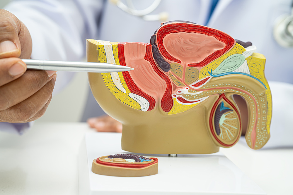 Enlarged Prostate Symptoms | BPH Symptoms | What Size of Prostate is Dangerous?